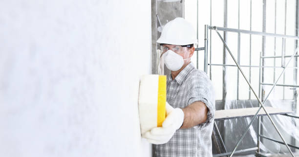 Best Mold Odor Removal Services  in Mountlake Terrace, WA